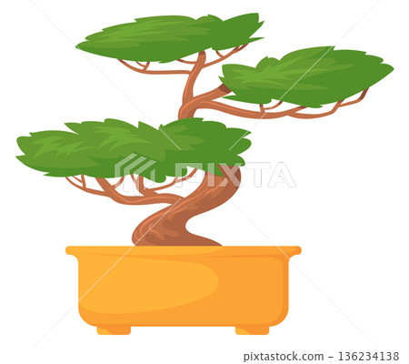 Bonsai tree cartoon icon. Miniature japanese houseplant Bonsai tree cartoon icon. Miniature japanese houseplant 136234138