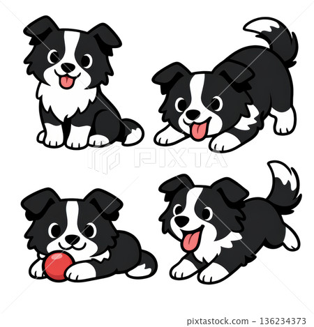 Cartoon border collie puppy set playful cute dog collection joyful pose 136234373