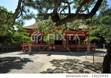 Izumo Hinomoto Shrine 136234544