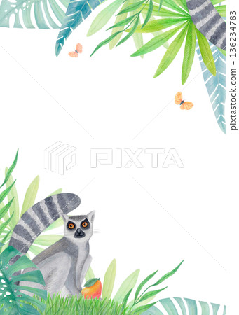 Watercolor tropical corner border with lemur, green jungle leaves and butterflies isolated on white. Exotic animal illustration. Watercolor tropical corner border with lemur, green jungle leaves and butterflies isolated on white. Exotic animal illustration. 136234783