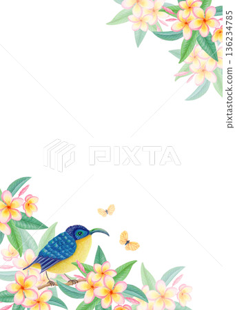 Watercolor tropical frame with exotic bird, plumeria flowers and butterflies. Floral wildlife border with frangipani blossoms. Watercolor tropical frame with exotic bird, plumeria flowers and butterflies. Floral wildlife border with frangipani blossoms. 136234785