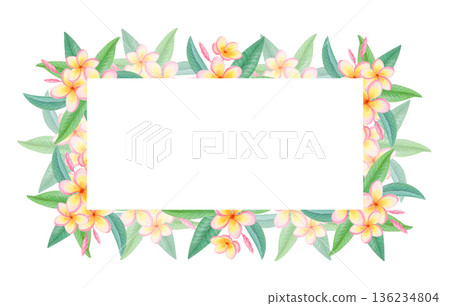 Watercolor rectangular tropical frame with plumeria flowers isolated on white. Exotic floral border with frangipani blossoms. 136234804