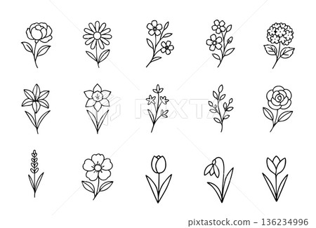floral line icons featuring tulip, daisy, rose, lily, lavender, and wildflowers in minimal black outline style. Perfect for logo design, branding, packaging, wedding invitations, cosmetic labels 136234996