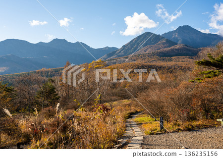 Autumn in the Yatsugatake mountain range and the beautiful forest promenade (Kiyosato Plateau, Hokuto City, Yamanashi Prefecture) Autumn in the Yatsugatake mountain range and the beautiful forest promenade (Kiyosato Plateau, Hokuto City, Yamanashi Prefecture) 136235156