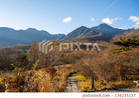 Autumn in the Yatsugatake mountain range and the beautiful forest promenade (Kiyosato Plateau, Hokuto City, Yamanashi Prefecture) Autumn in the Yatsugatake mountain range and the beautiful forest promenade (Kiyosato Plateau, Hokuto City, Yamanashi Prefecture) 136235157