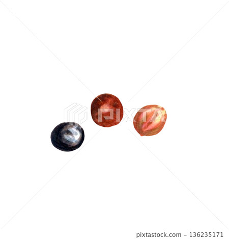 Three peppercorns watercolor spice study, delicate brushstrokes, textured paper grain, warm pink red black tones, bright negative space, chef branding and cookbook header inspiration, packaging mockup 136235171