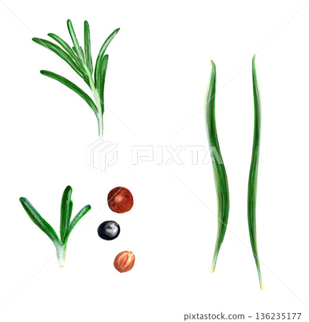 Fresh rosemary sprig and peppercorns isolated on white background, simple culinary still life with chive accents, crisp shadowless lighting, editorial flatlay for menu and social media, versatile Fresh rosemary sprig and peppercorns isolated on white background, simple culinary still life with chive accents, crisp shadowless lighting, editorial flatlay for menu and social media, versatile 136235177
