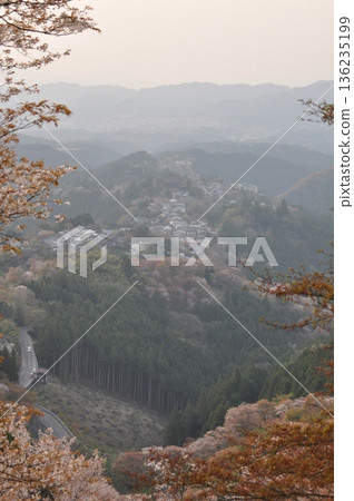 Cherry blossom scenery of Mount Yoshino, Nara Prefecture 136235199