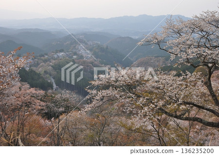 奈良縣吉野山櫻花美景 136235200