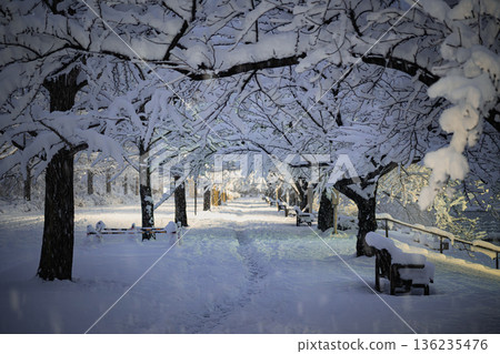 積雪覆蓋的長椅和路燈：冬夜裡的公園和溫暖的燈光 136235476