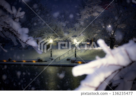 冬日靜謐的河畔：雪花飄落，透過樹梢的縫隙望去。 136235477