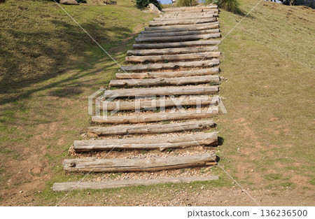Wooden staircase made of logs on grassy ground in the garden 136236500