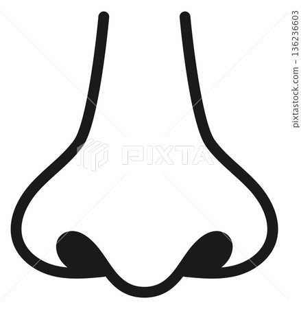 Smell sense icon. Human nose linear symbol 136236603