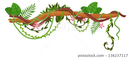 Rainforest tree lianas hanging. Exotic branch greenery Rainforest tree lianas hanging. Exotic branch greenery 136237117