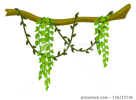 Tropical tree with hanging green vine cartoon icon 136237236