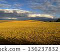Golden autumn earth and wide sky 136237832