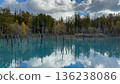 Autumn forest reflected in the mysterious blue pond 136238086