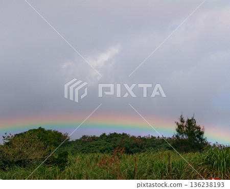 A rainbow hanging low over a green forest A rainbow hanging low over a green forest 136238193