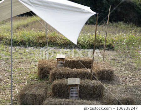 Bales of straw in the field. Bales of straw in the field. 136238247