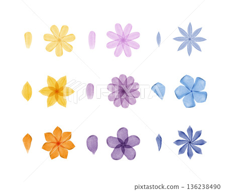 Collection of vibrant watercolor flowers and individual petals arranged neatly on a white background. Features various shades of yellow, orange, purple, and blue blossoms and parts. Collection of vibrant watercolor flowers and individual petals arranged neatly on a white background. Features various shades of yellow, orange, purple, and blue blossoms and parts. 136238490
