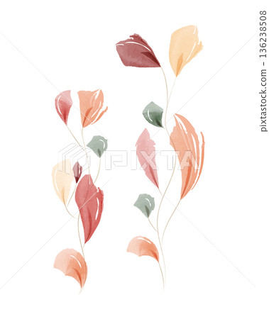 Two slender stems with many delicate watercolor leaves stand against a white background. Two slender stems with many delicate watercolor leaves stand against a white background. 136238508