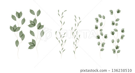 A collection of delicate green watercolor leaves. Three distinct botanical foliage designs are hand painted on a clean white background, showcasing nature gentle beauty. A collection of delicate green watercolor leaves. Three distinct botanical foliage designs are hand painted on a clean white background, showcasing nature gentle beauty. 136238510