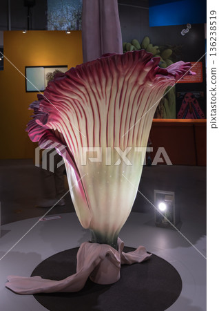 世界上最大的花朵模型 世界上最大的花朵模型 136238519