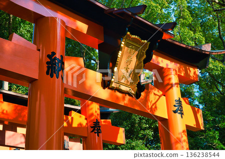 Beautiful vermilion torii gate at Fushimi Inari Taisha Shrine in Kyoto (Fushimi Ward, Kyoto City, Kyoto Prefecture) Beautiful vermilion torii gate at Fushimi Inari Taisha Shrine in Kyoto (Fushimi Ward, Kyoto City, Kyoto Prefecture) 136238544