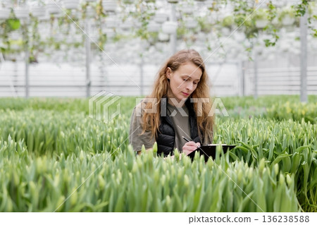 A woman stands in a greenhouse with tulips, watches the growth of flowers and makes notes in a notebook A woman stands in a greenhouse with tulips, watches the growth of flowers and makes notes in a notebook 136238588