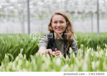 A woman takes care of cultivation in a greenhouse with tulips 136238600