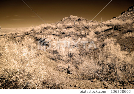 Sonora Desert Arizona in Infrared 136238603
