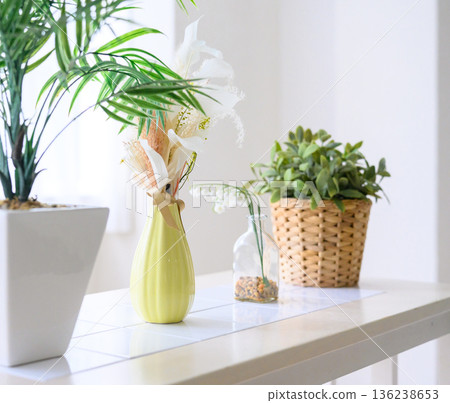 Plants and flowers on the table 136238653