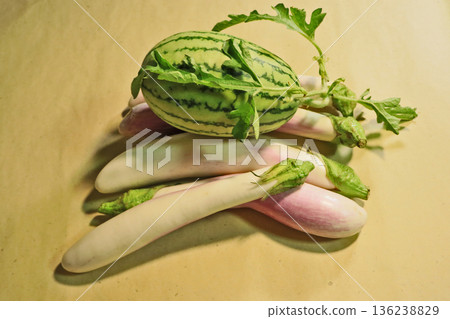 新鮮採摘的白茄子和小西瓜 新鮮採摘的白茄子和小西瓜 136238829