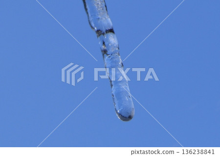 Icicles dancing in the blue sky 136238841