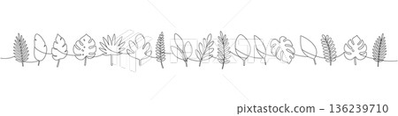 Minimalist continuous line art of tropical foliage. Elegant contour drawing with monstera, palm, and banana leaves for botanical design Minimalist continuous line art of tropical foliage. Elegant contour drawing with monstera, palm, and banana leaves for botanical design 136239710