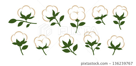 Set of 10 flat cotton plant icons with green leaves and white bolls. Vector collection for eco labels, textile design, and agricultural themes Set of 10 flat cotton plant icons with green leaves and white bolls. Vector collection for eco labels, textile design, and agricultural themes 136239767