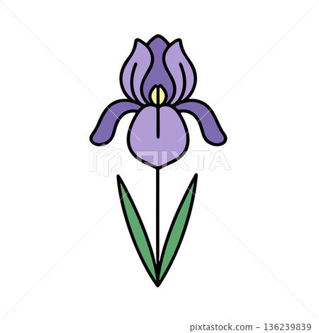Simple iris color icon 136239839