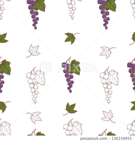 Blackcurrant Seamless Pattern. Botanical White Background with Mixed Color and Line Art Currant Branches, Berries with Leaves. Repeatable Fruit template. Vector Square illustration Blackcurrant Seamless Pattern. Botanical White Background with Mixed Color and Line Art Currant Branches, Berries with Leaves. Repeatable Fruit template. Vector Square illustration 136239955
