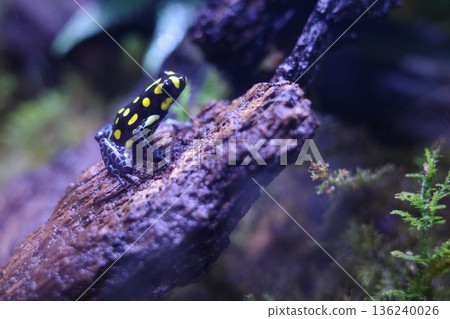 An old door with the word "CRAZY" written on it 136240026