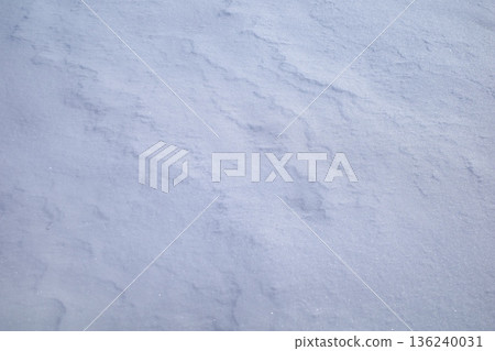 An old door with the word "CRAZY" written on it 136240031