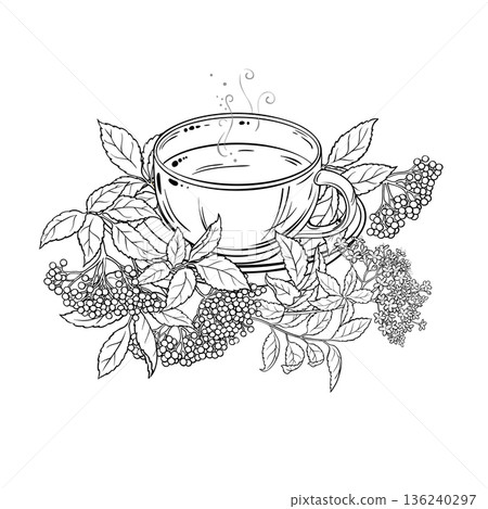 Cup of Elderberry Tea Outline Illustration. 136240297