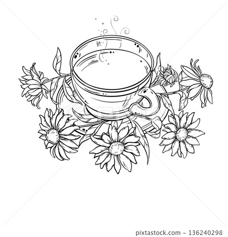 Cup of Echinacea Tea Outline Illustration. 136240298