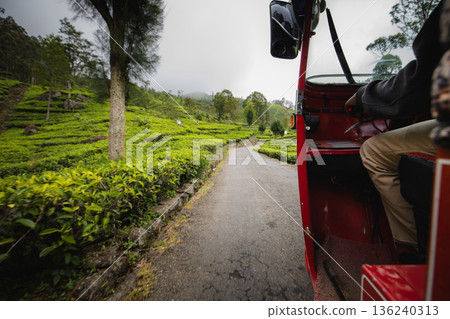 Riding tuk tuk through tea plantations in Sri Lanka Riding tuk tuk through tea plantations in Sri Lanka 136240313