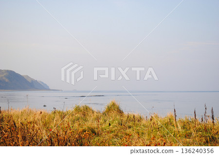 The photograph showcases a stunning view of a sea bay on the Kuril Islands, surrounded by lush vegetation, during a picturesque sunset on a sunny autumn day. The photograph showcases a stunning view of a sea bay on the Kuril Islands, surrounded by lush vegetation, during a picturesque sunset on a sunny autumn day. 136240356