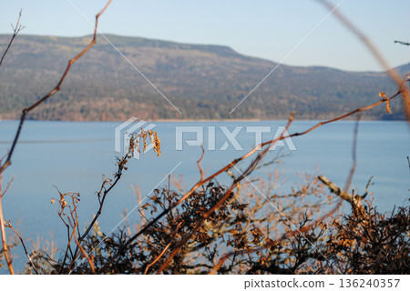 The photograph captures a breathtaking view of a sea bay and autumn forest on the Kuril Islands during sunset on a sunny day. 136240357