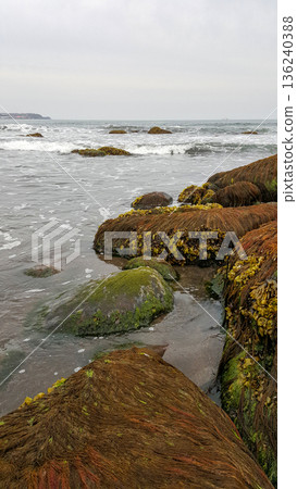 Moss-covered boulders adorn the sandy beach of a marine bay on the Kuril Islands. 136240388