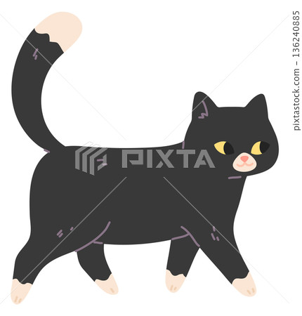 Walking cat. Cute black fur active pet Walking cat. Cute black fur active pet 136240885