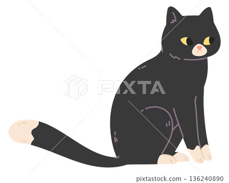 Sitting cat. Cute domestic animal in calm pose 136240890