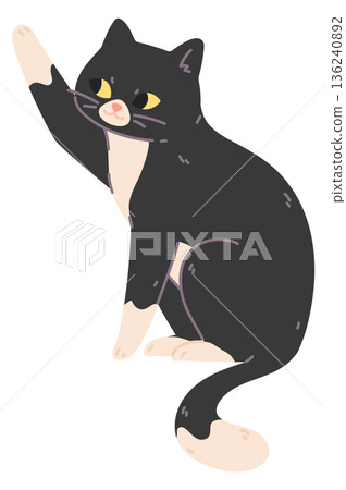 Cat touch something with paw. Cute pet pose Cat touch something with paw. Cute pet pose 136240892