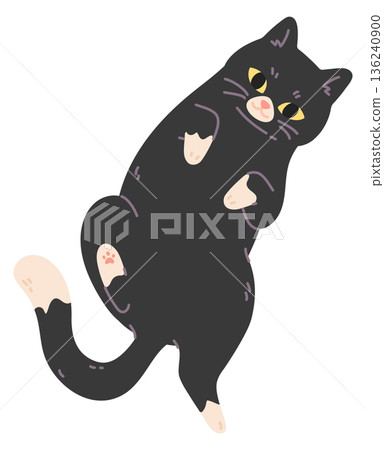 Cute cat lay on back. Adorable black pet 136240900